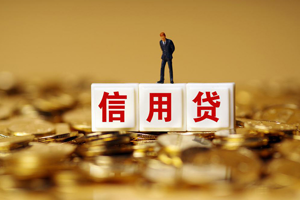 成都信用快速小额贷款